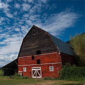 Enderby Community pic